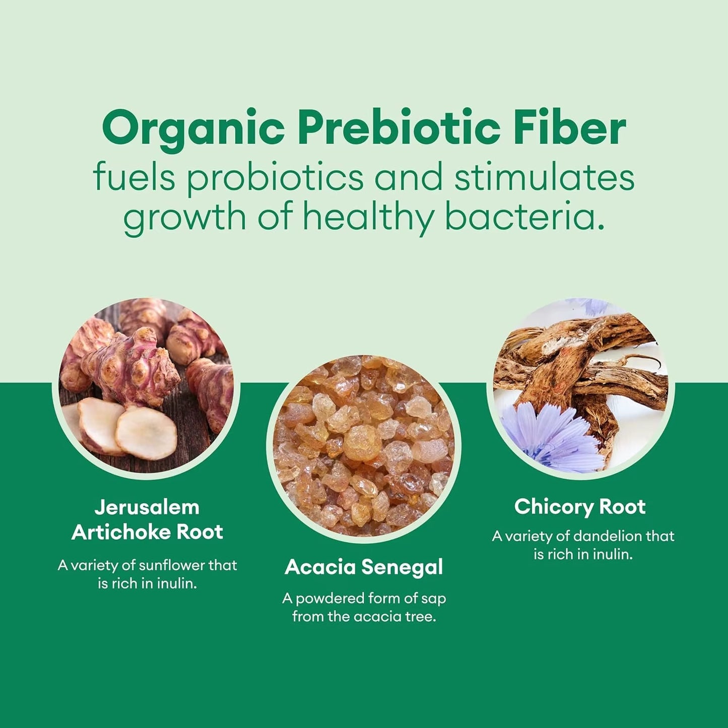 Probiotics Capsules - Bloating Relief, Weight Management, Supports Digestion & Gut Health - 120 Capsules